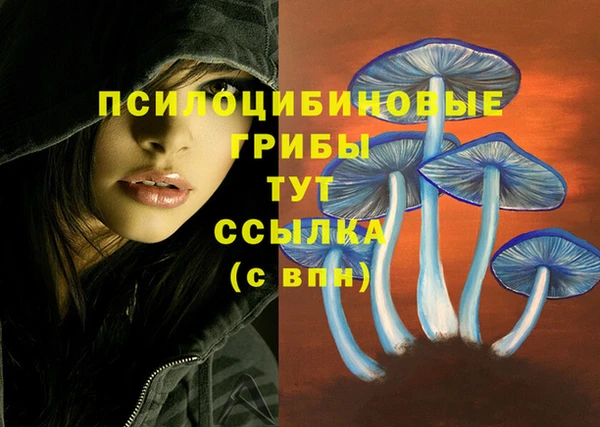 кокс Алзамай