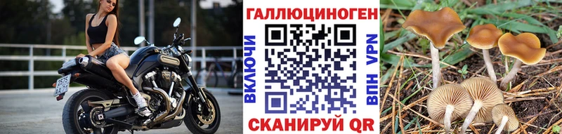 Псилоцибиновые грибы мухоморы магазин маркетплейс клад Апатиты