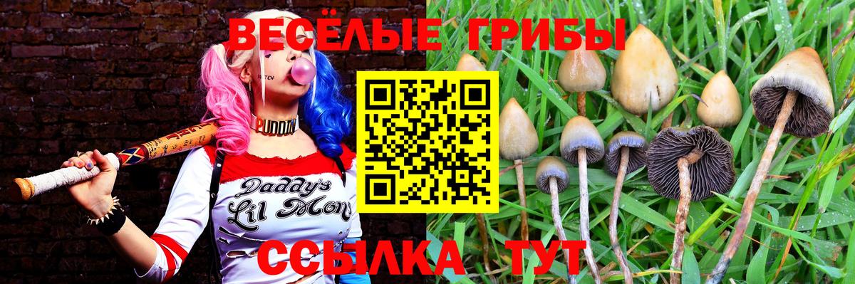 Апатиты  Псилоцибиновые грибы мухоморы  Вход с VPN  Псилоцибиновые грибы Psilocybe 